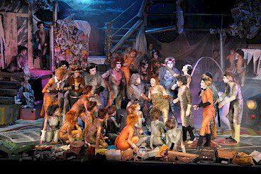 CATS Image1 - Credit Leona Allan