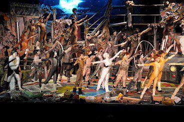 CATS Image2 - Credit Leona Allan